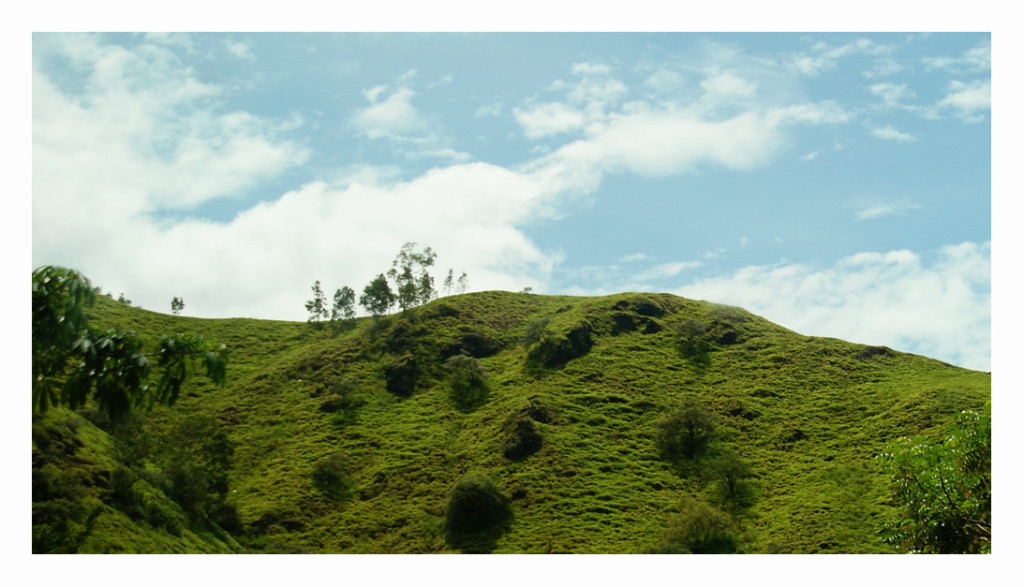Timor Leste hills