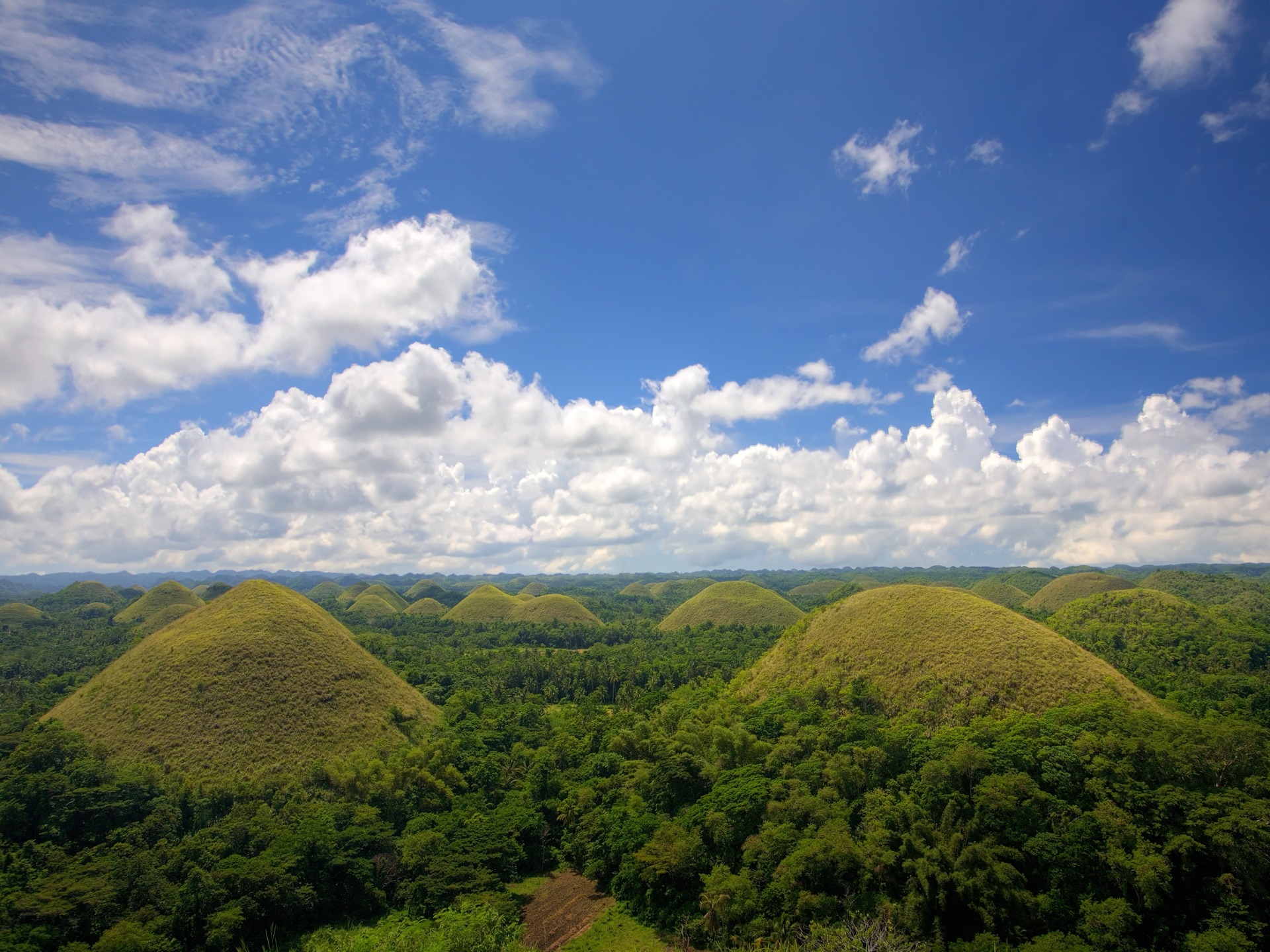 Chocolate Hills in the Bohol Province, a rare landscape that became one of Phillipines' Geological Monuments