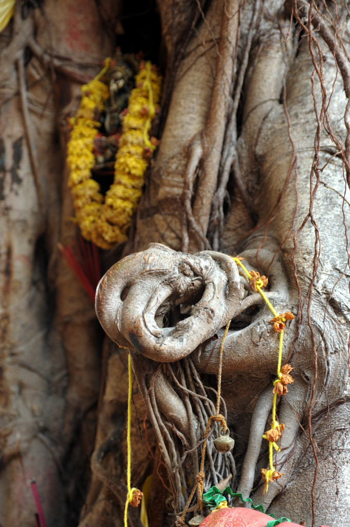The Ganesha trunk, By: Diana van Oort