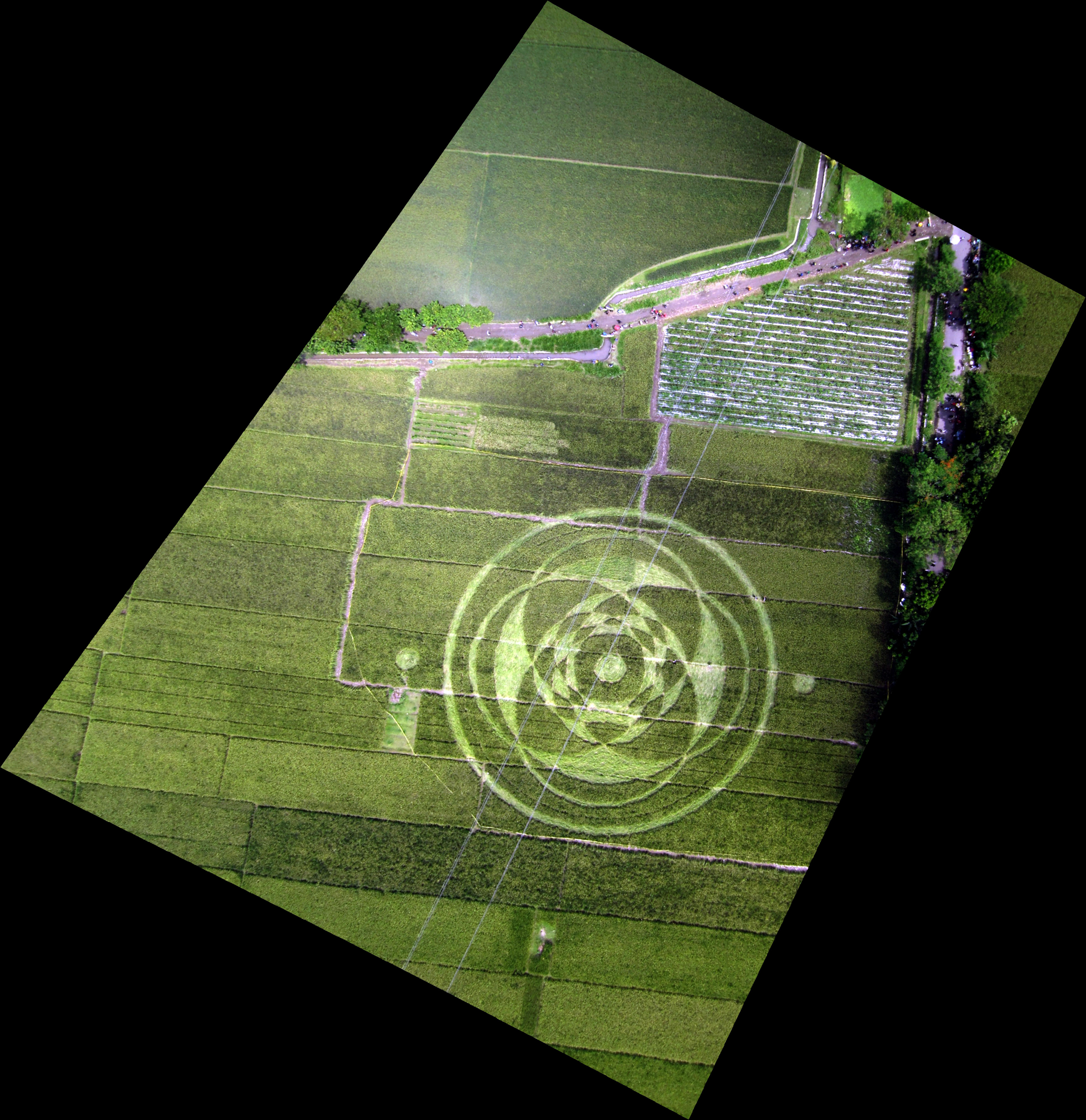 3929px x 4052px - The Hoohah Over Crop Circles In Indonesia - Latitudes