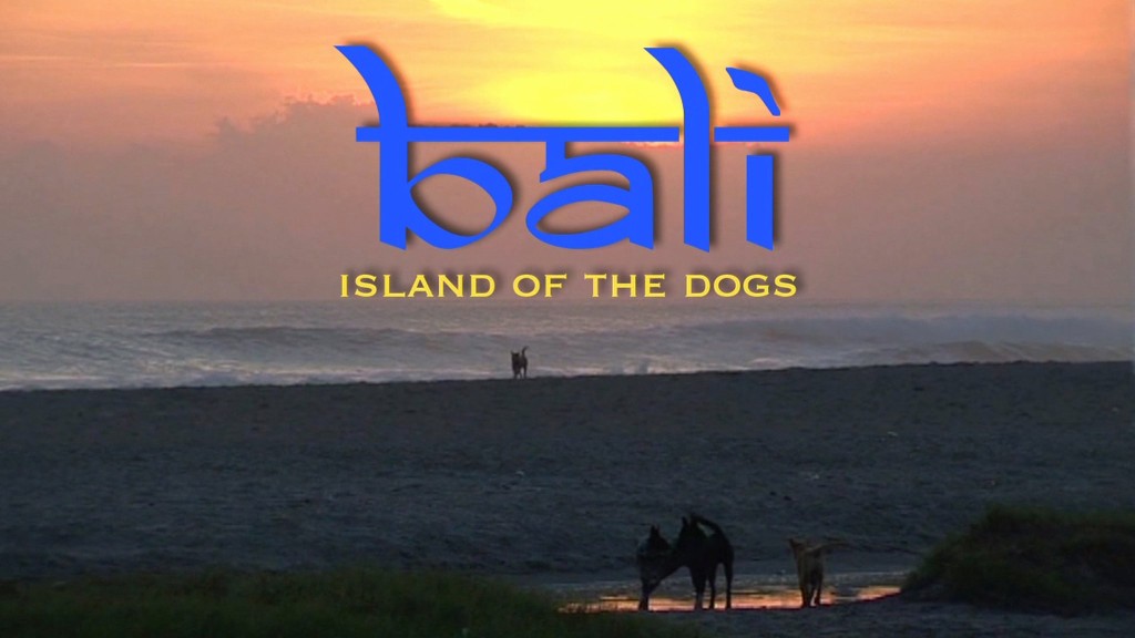 Bali, Island of the dogs