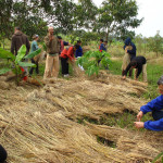 Permaculture in Thailand, By: Suvajack