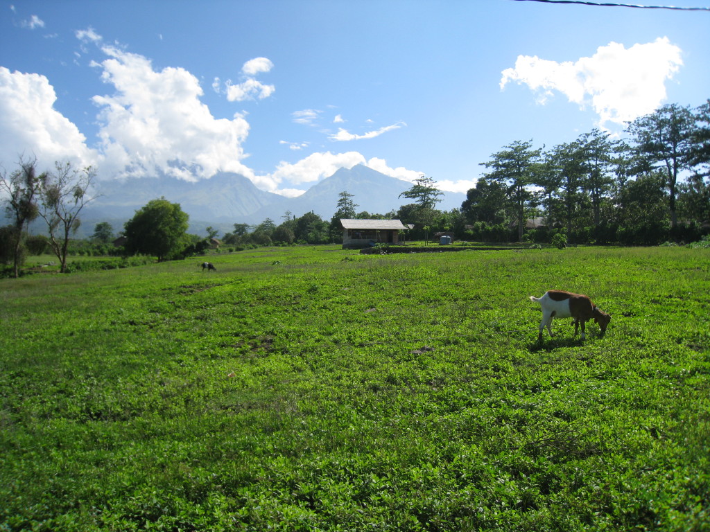 View on Rinjani near Senaru