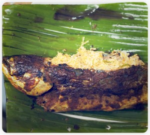 Ikan Sumbat/ Stuffed Grilled Fish, By: Erna Dyanty