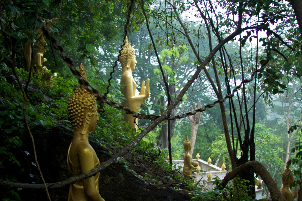 Buddha's at Wat Chom Si , By: Mc Kay Savage