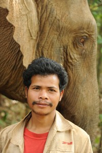 Mahout and Elephant Valley Project Cambodia