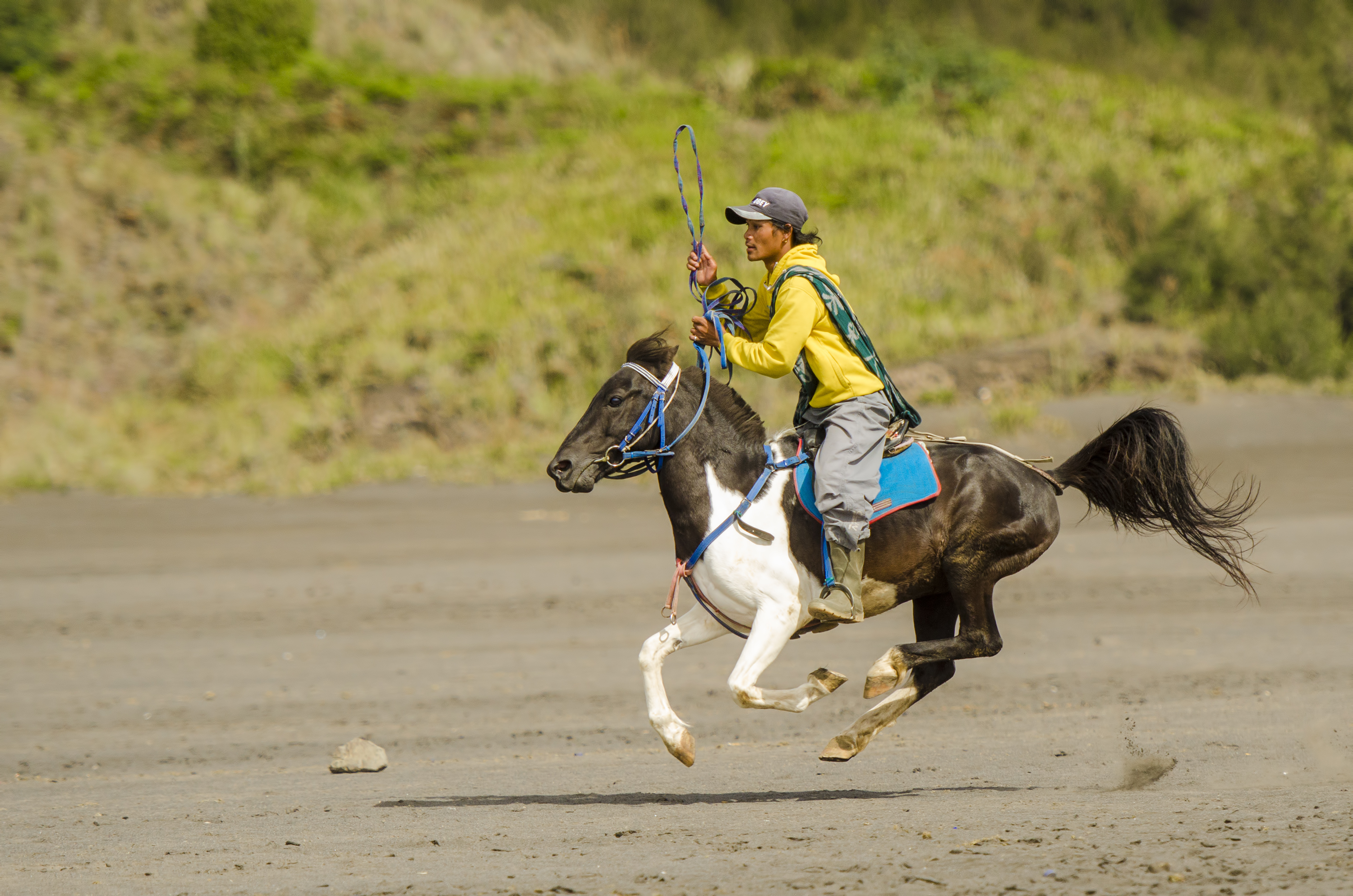 Bonsai Horse Racing In Sumbawa - Latitudes